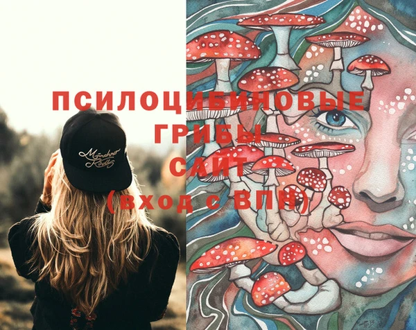 меф Арсеньев