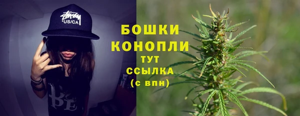 меф Арсеньев