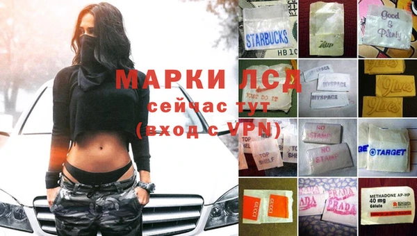 MESCALINE Аркадак